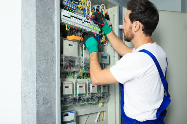 Best Generator Installation Services  in Oakwood, IL